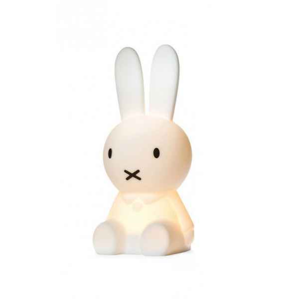 PE Rabbit Table Lamp