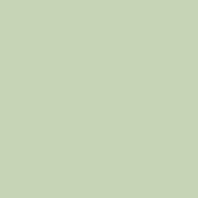 dull green texture